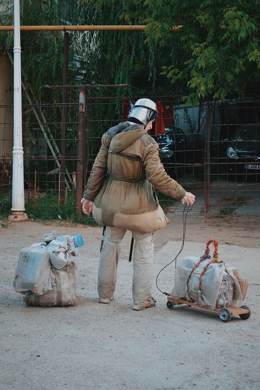 romania, bucharest, real people, one person, full length, vertebrate HD wallpaper