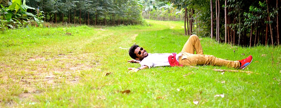 india, munnar, forest, hillside, plant, grass, tree, lying down HD wallpaper