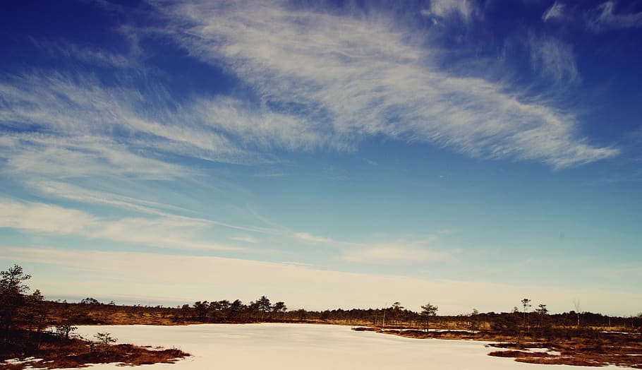 Body of Water Near Trees Under Blue and White Skies, blue sky HD wallpaper