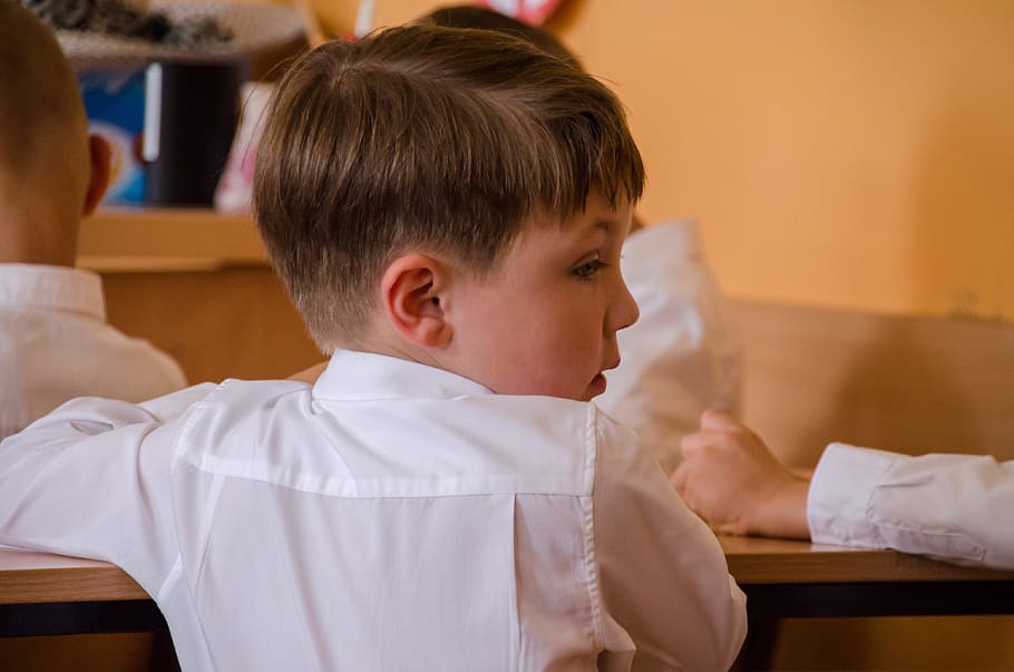 child, school, education, work desk, science, boy, men, childhood HD wallpaper