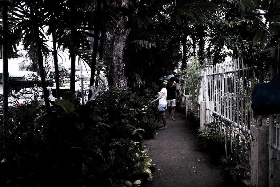 black, white, bohol, philippines, urban, landscape, urbanscape HD wallpaper