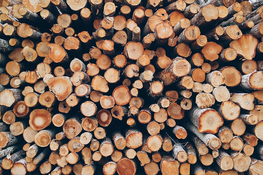 trees, stacked, logging, forest, cut, logs, wood, large group of objects HD wallpaper