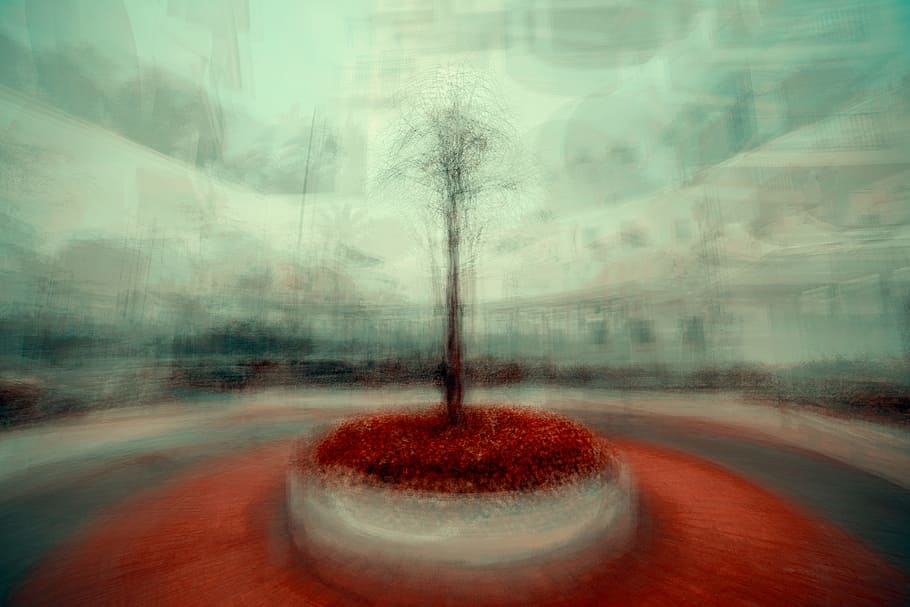 tree, blur, abstract, green, red, orange, nature, fog, backgrounds HD wallpaper