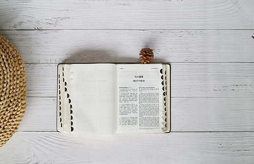 white book, paper, bible, table, pine cone, flat lay, study, read HD wallpaper