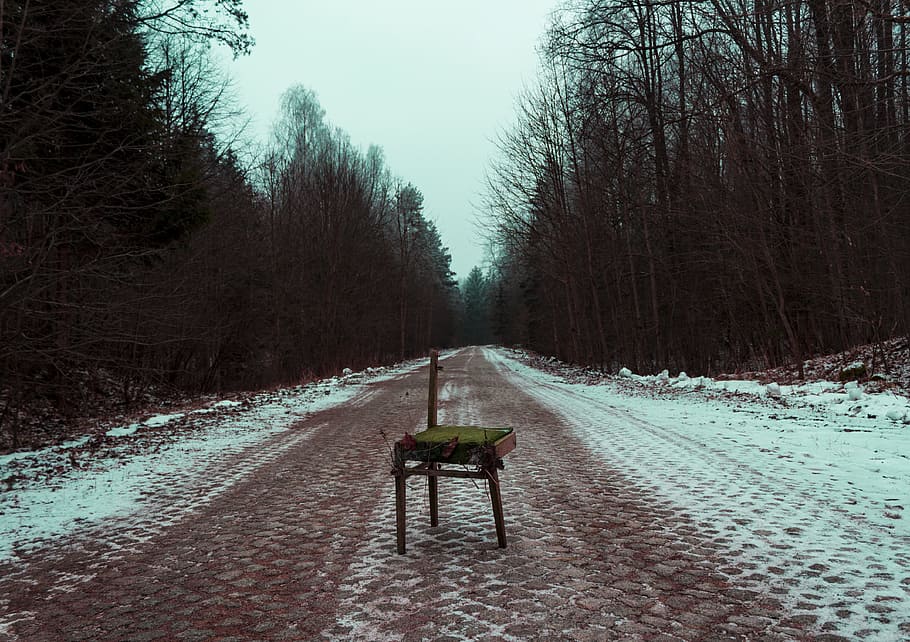 Photography of broken brown chair in the Middle of Road Surrounded by Trees HD wallpaper