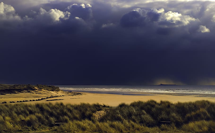 Green Grass Under White Clouds, beach, daylight, landscape, nature HD wallpaper