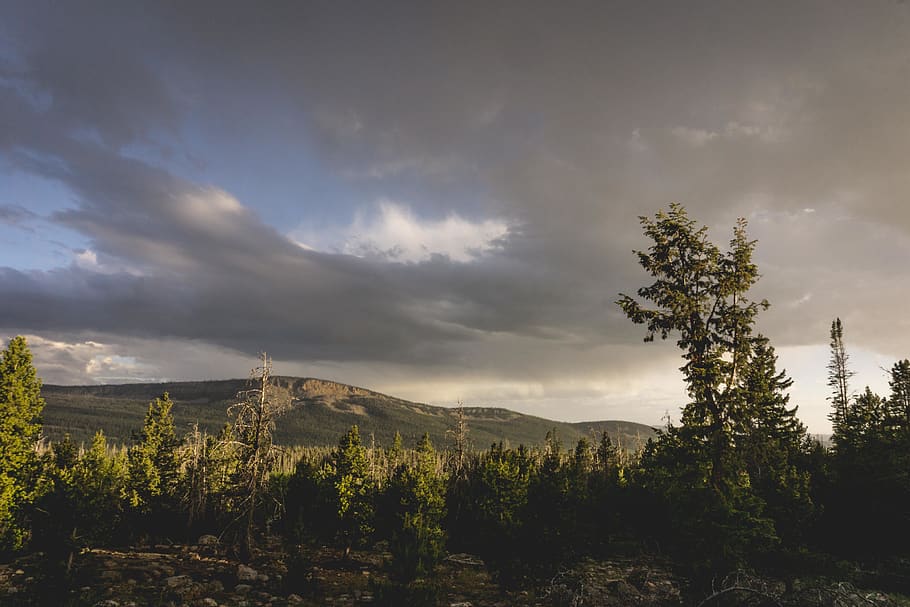 sunset, summer, storm, mountain, forest, trees, goldenhour HD wallpaper