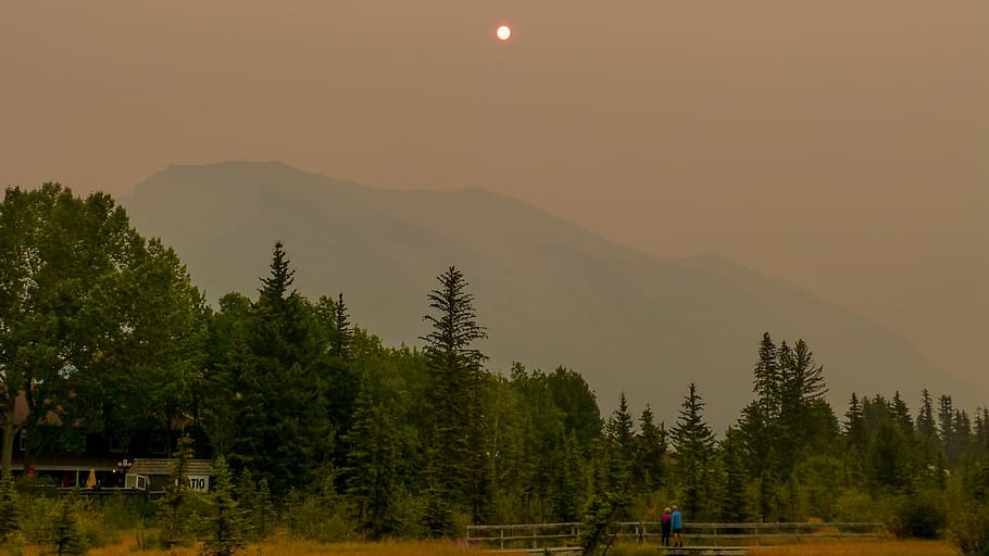 canmore, canada, sunshine, haze, orange, red, green, wildfire HD wallpaper