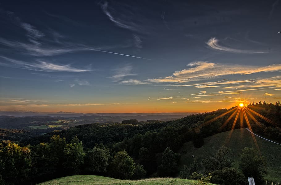 Nature Photography of Trees during a Sunset, backlit, dawn, landscape HD wallpaper