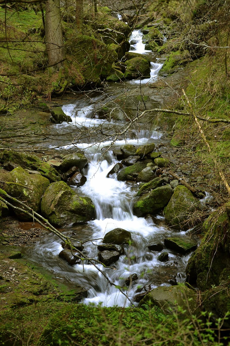 gorge, river, bach, nature, water, forest, motion, flowing water HD wallpaper