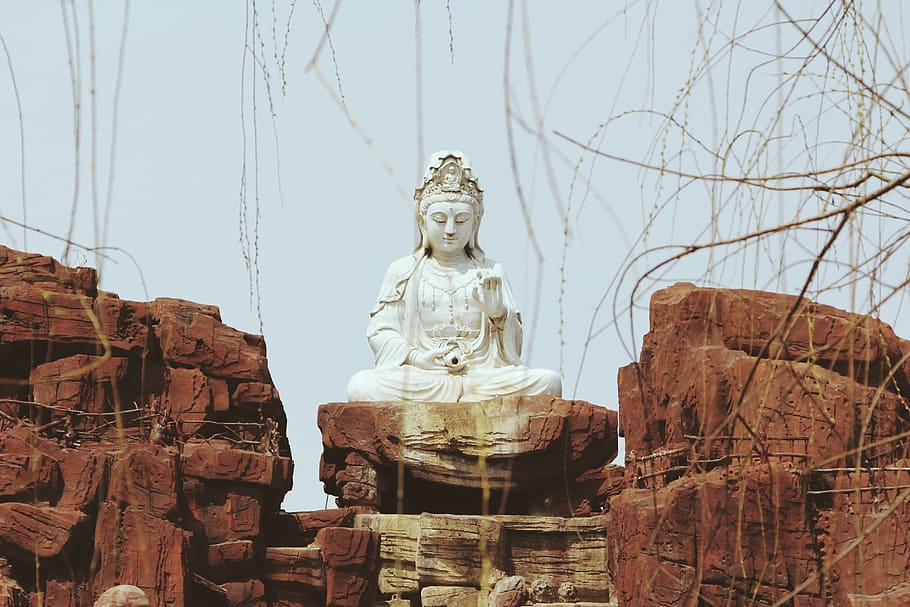 buddha, park, goodness, sculpture, statue, human representation HD wallpaper