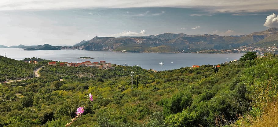 croatia, cavtat, mountain, plant, beauty in nature, water, scenics - nature HD wallpaper