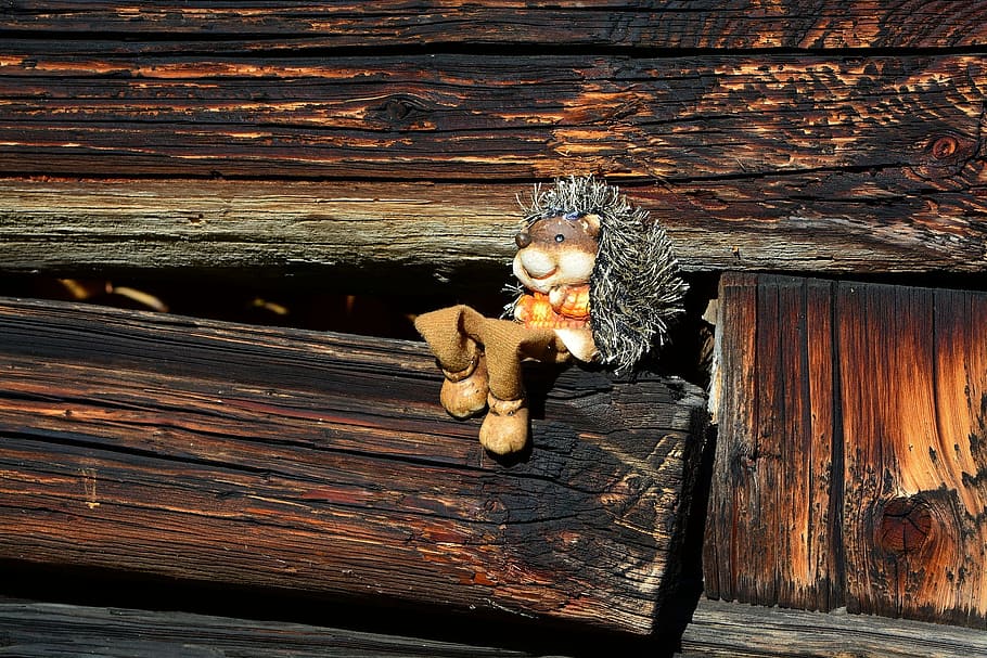 hedgehog, toy, stuff, stuffed, figure, wood, texture, wood - material HD wallpaper