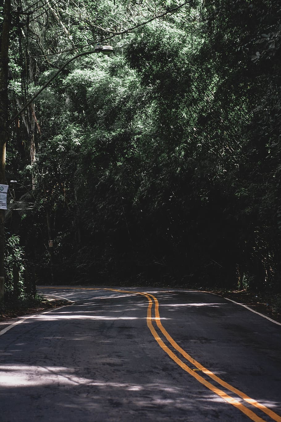Concrete Road, asphalt, trees, transportation, plant, symbol HD wallpaper
