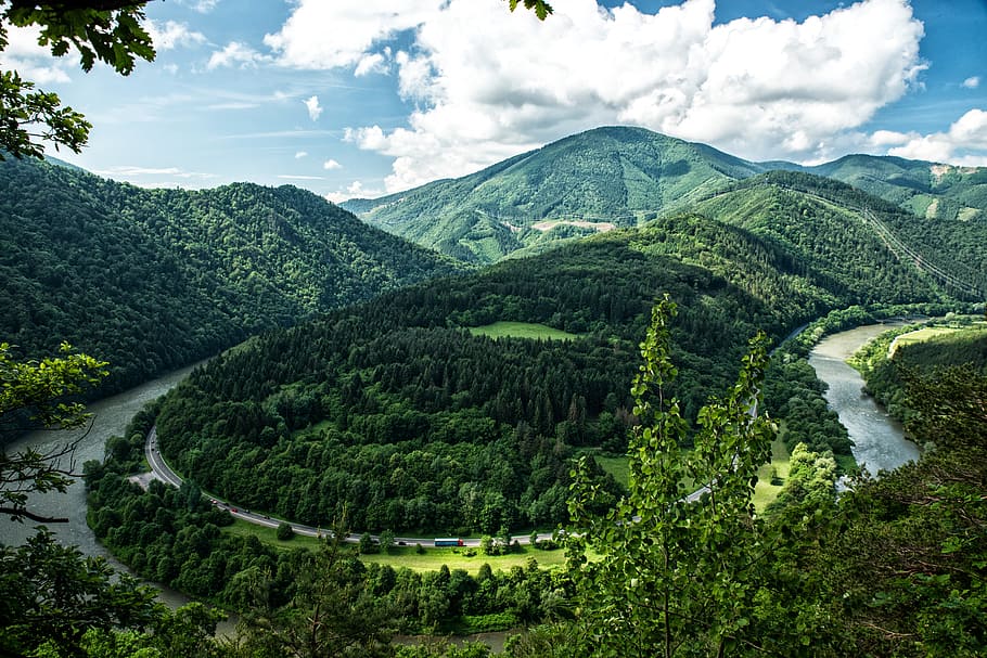 nature, mountains, slope, trees, lush, vegetation, winding HD wallpaper