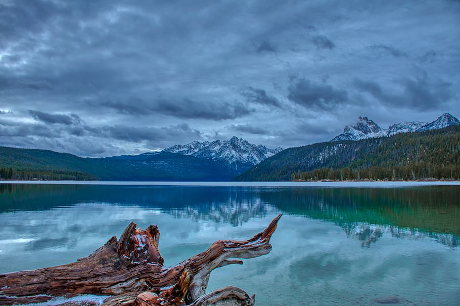 Wooden Log Near Body Of Water, idaho, landscape, mountains, nature, HD wallpaper