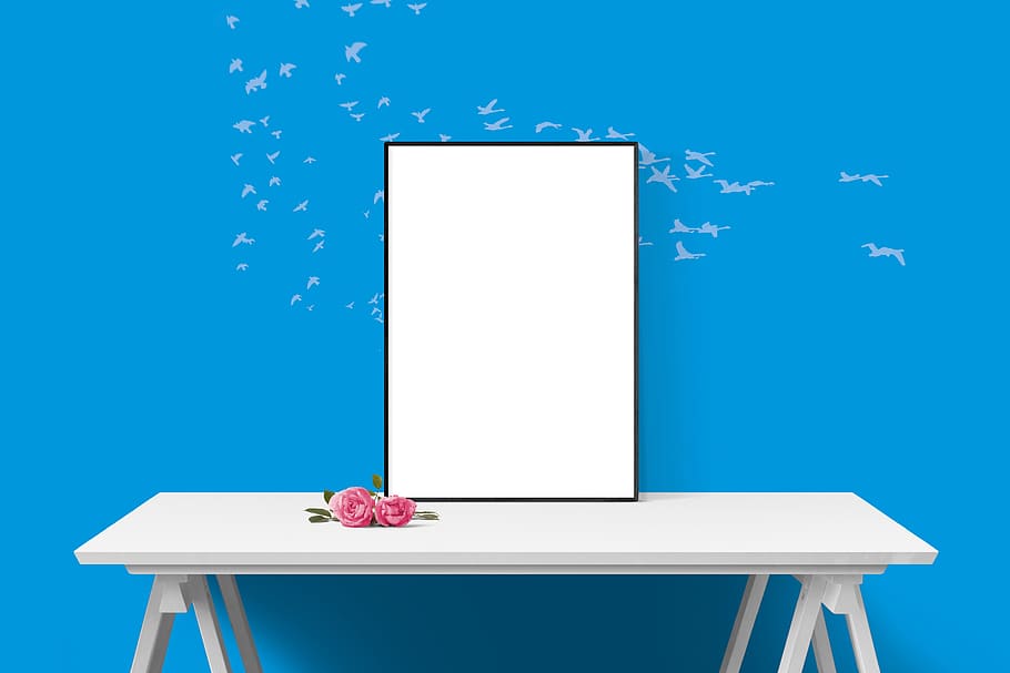 poster, frame, wall, desk, flower, rose, blue, studio shot, HD wallpaper
