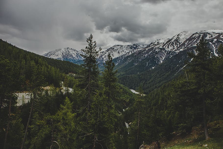 mountains, forest, snow, cold, spring, alps, wilderness, road HD wallpaper