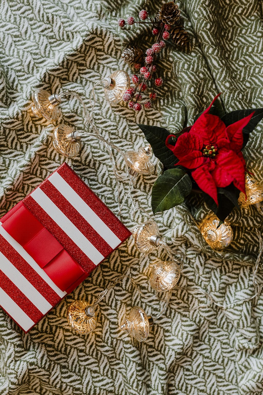 Red and Green Flower and Red and White Striped Gift Box, berries HD wallpaper