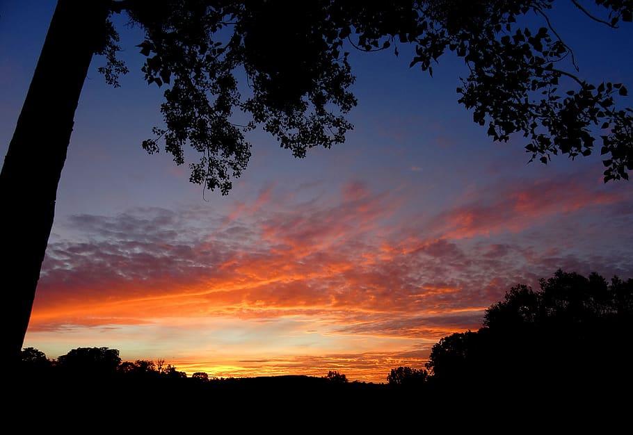 landscape, sky, twilight, nature, night, clouds, trees, field HD wallpaper