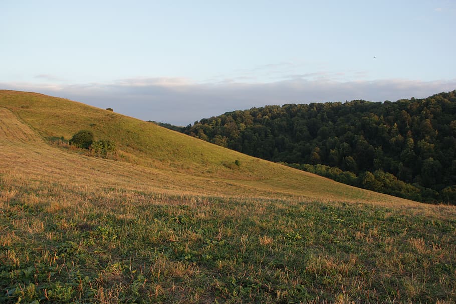 mountains, meadow, grass, plant, beauty in nature, sky, tranquility HD wallpaper