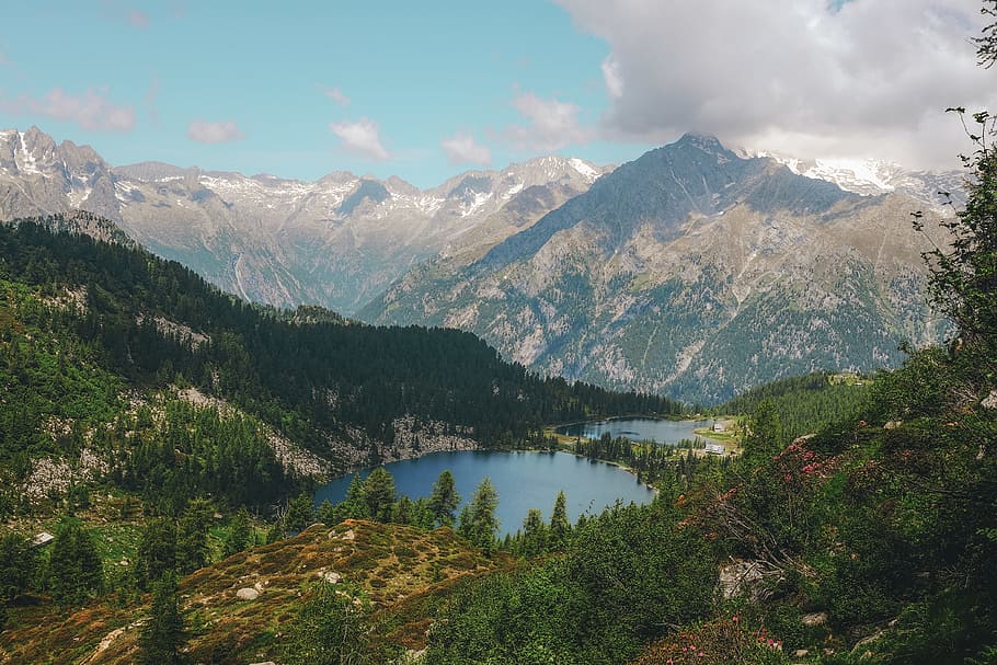 bird's-eye view photography of mountain range, tree, water, forst HD wallpaper