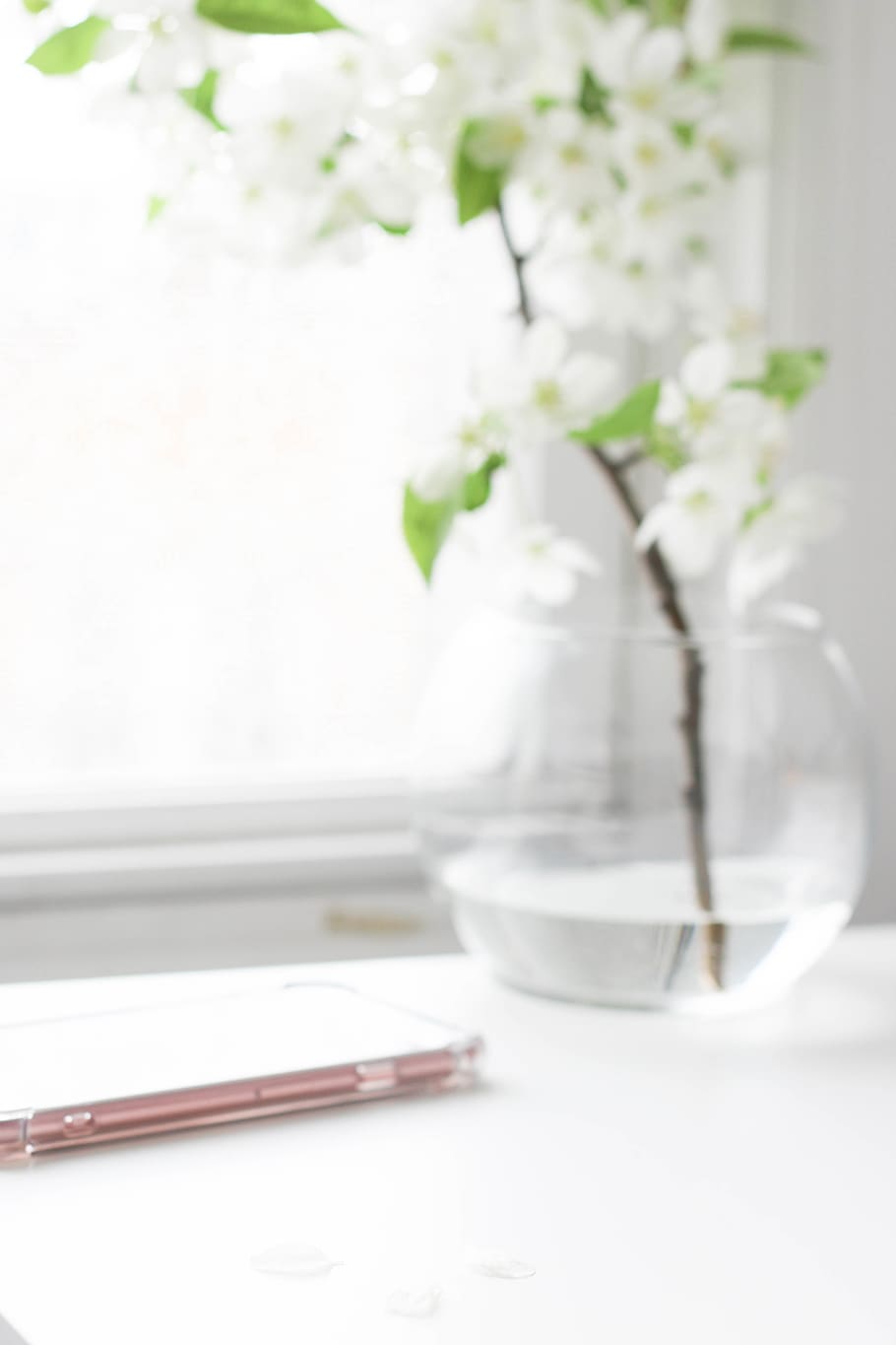 table, flowering plant, indoors, vase, no people, nature, still life HD wallpaper