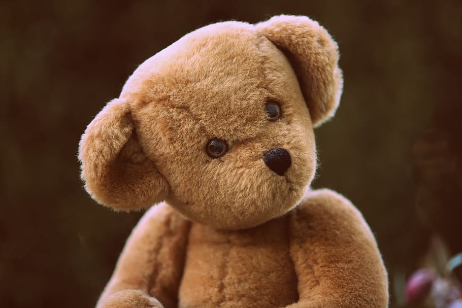 brown bear plush toy, teddy bear, stuffed toy, close-up, childhood HD wallpaper