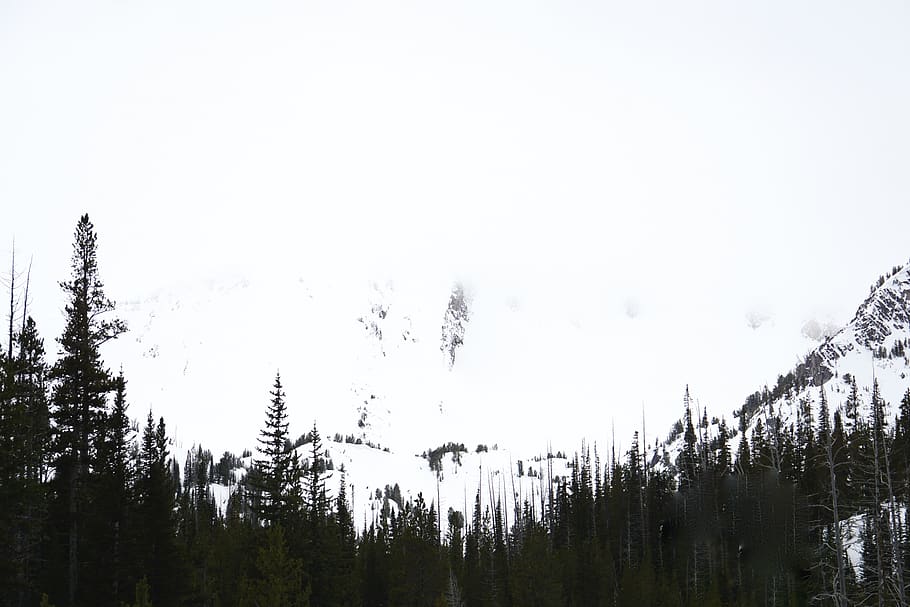 united states, wallowa county, storm, winter, whiteout, blizzard, HD wallpaper