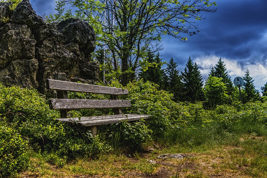 Gray Wooden Bench Surrounded by Plants, clouds, cloudy, forest HD wallpaper