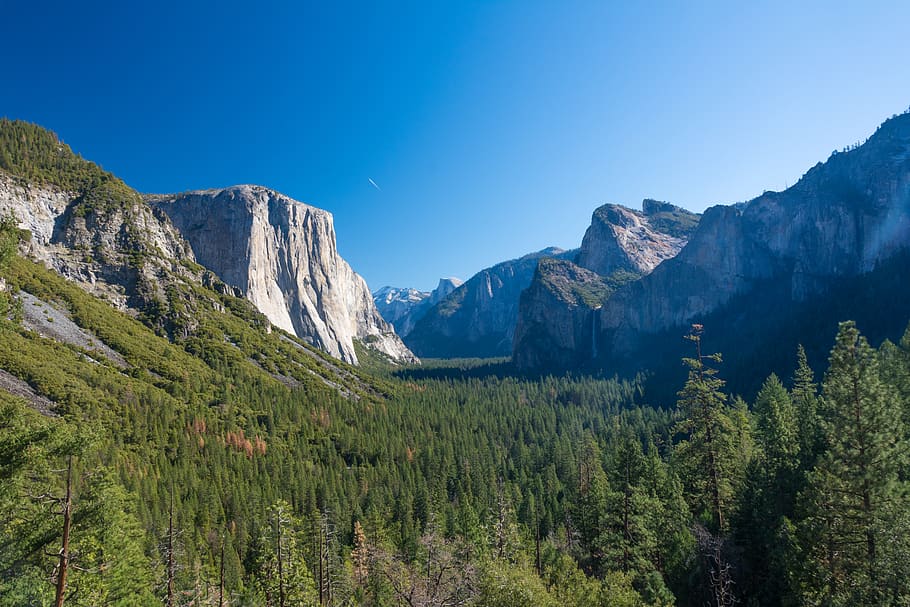 nature, forest, yosemite, fall, water, waterfall, sky, hd wallpaper HD wallpaper