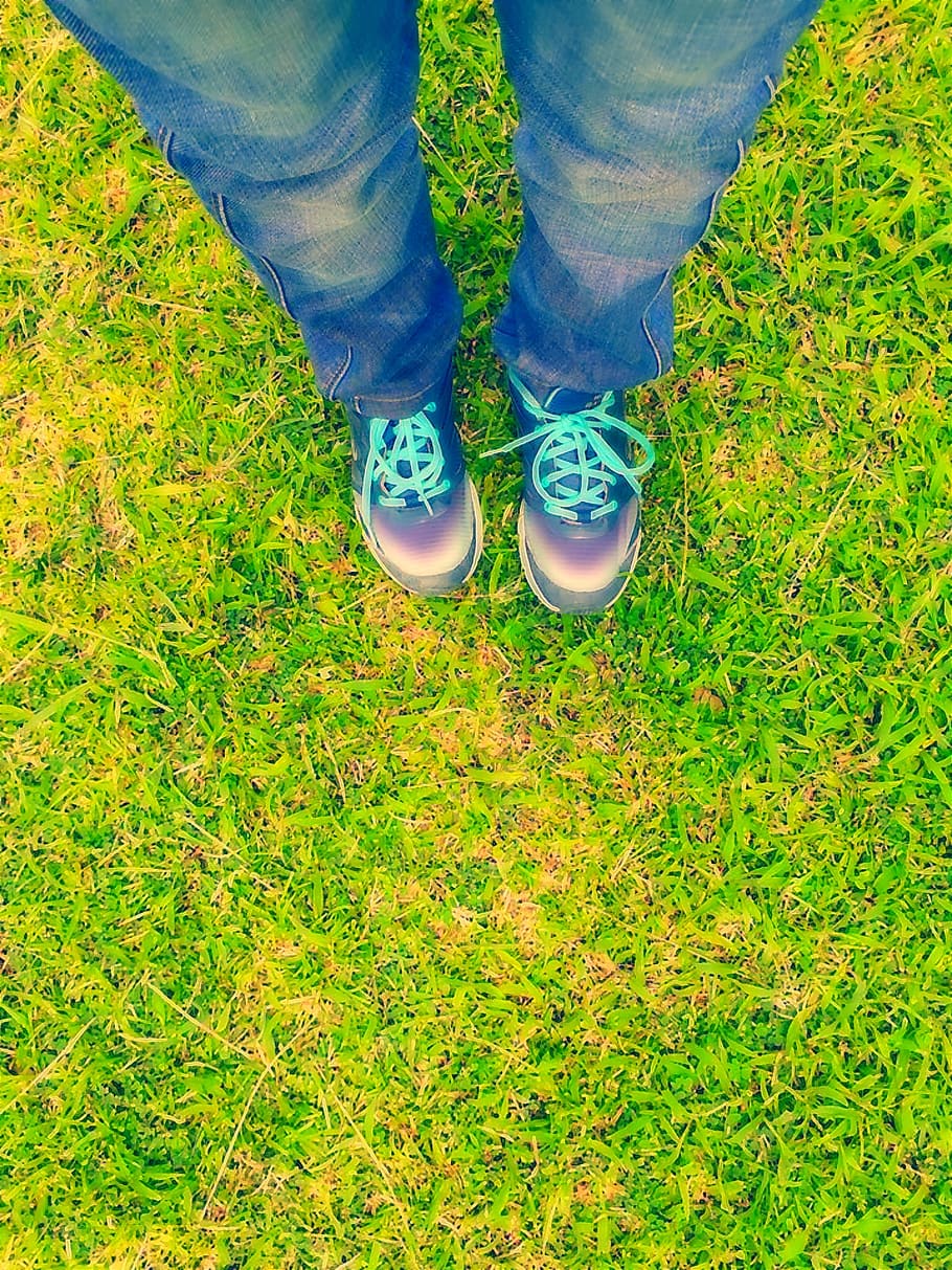 philippines, low section, human leg, body part, shoe, plant HD wallpaper