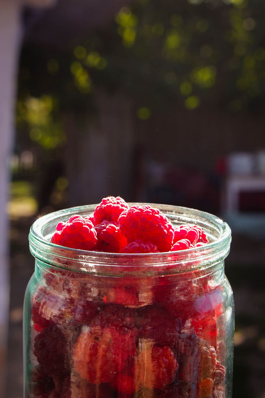 raspberry, tasty, fruit, healthy, red, sweet, colorful, vitamins HD wallpaper