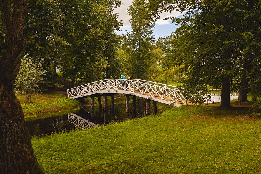 pushkinskiye gory, bridge, showplace, excursion, journey, nature HD wallpaper