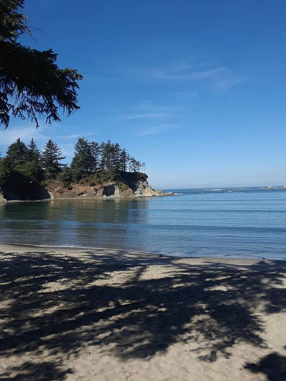 beach, trees, cove, sand, sea, water, ocean, landscape, sky HD wallpaper