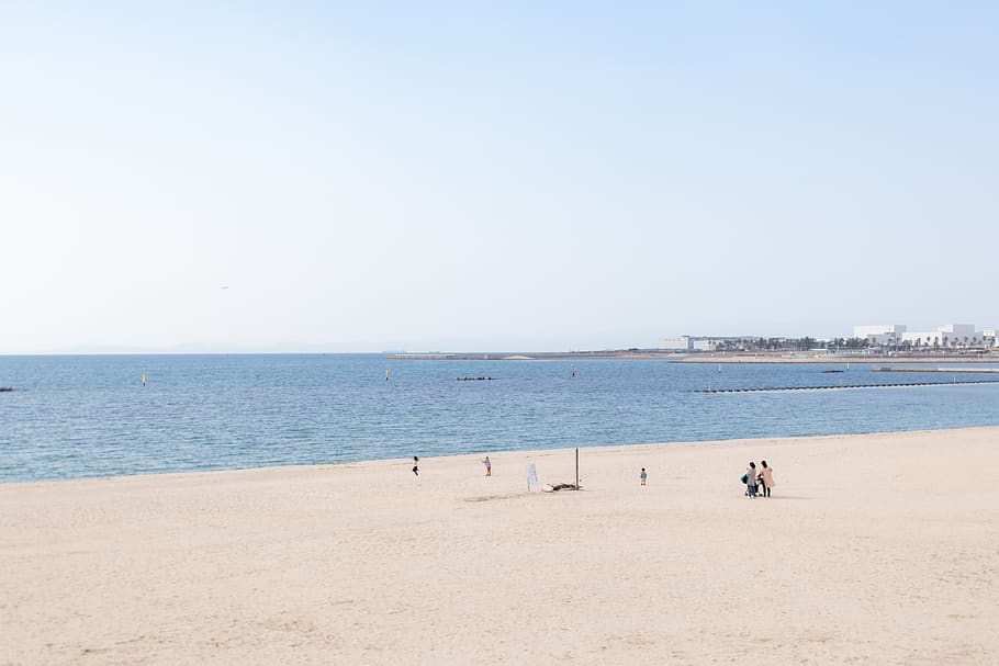 people walking on seashore, shoreline, water, outdoors, ocean HD wallpaper