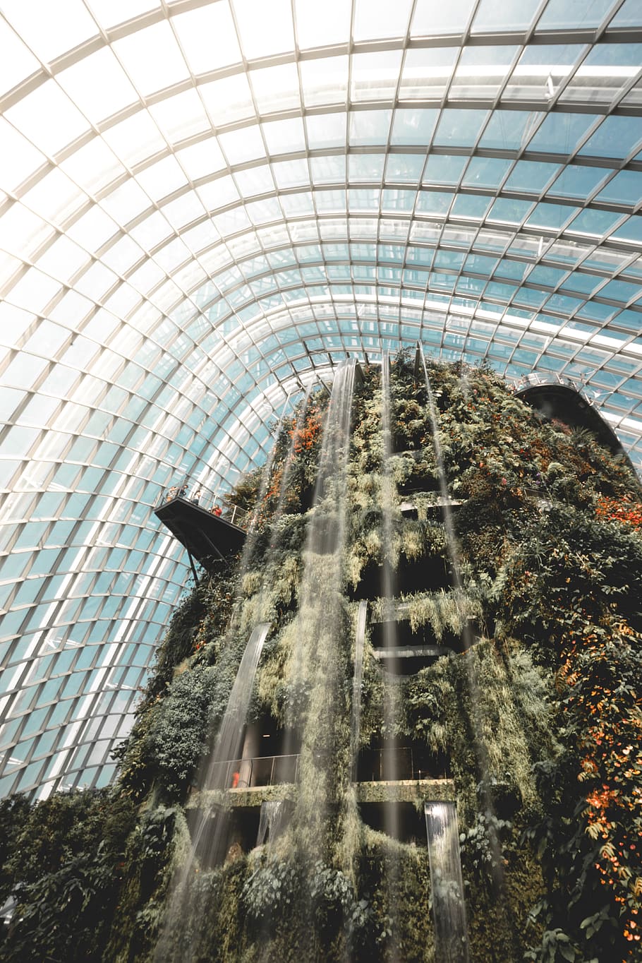 gray concrete falls, singapore, cloud forest, greenhouse, waterfall HD wallpaper