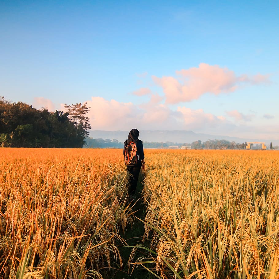 Woman in Black Hijab Headscarf Walking on Field, adventure, blue sky HD wallpaper