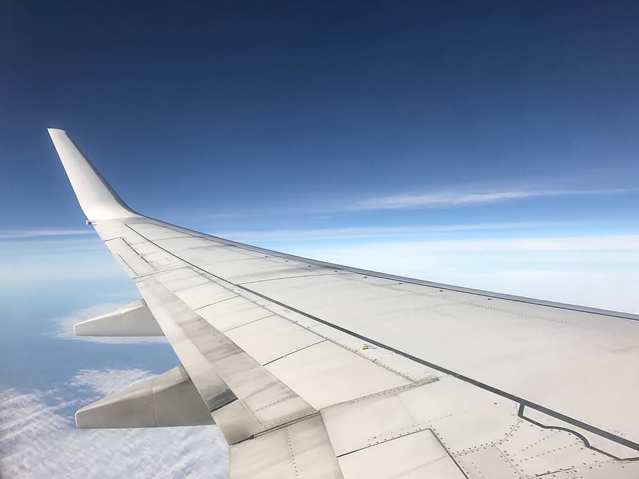 clouds, plane, sky, blue, wings, airplane, air vehicle, aircraft wing HD wallpaper