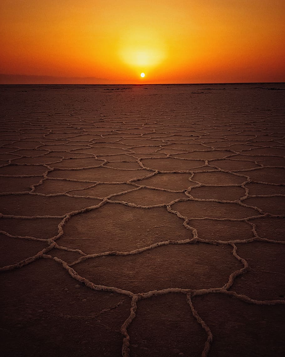 dried land at golden hour, earth, sun, desert, arid, sunset, sunrise, HD wallpaper