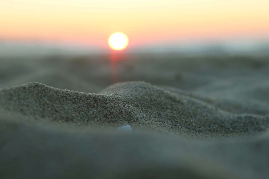 netherlands, beach, sunset, zoom, perspective, sea, sand, nature HD wallpaper