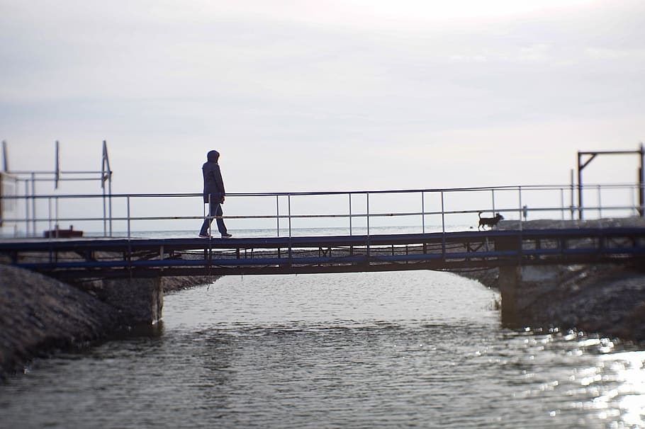 bridge, sea, dog, water, sky, men, real people, one person HD wallpaper