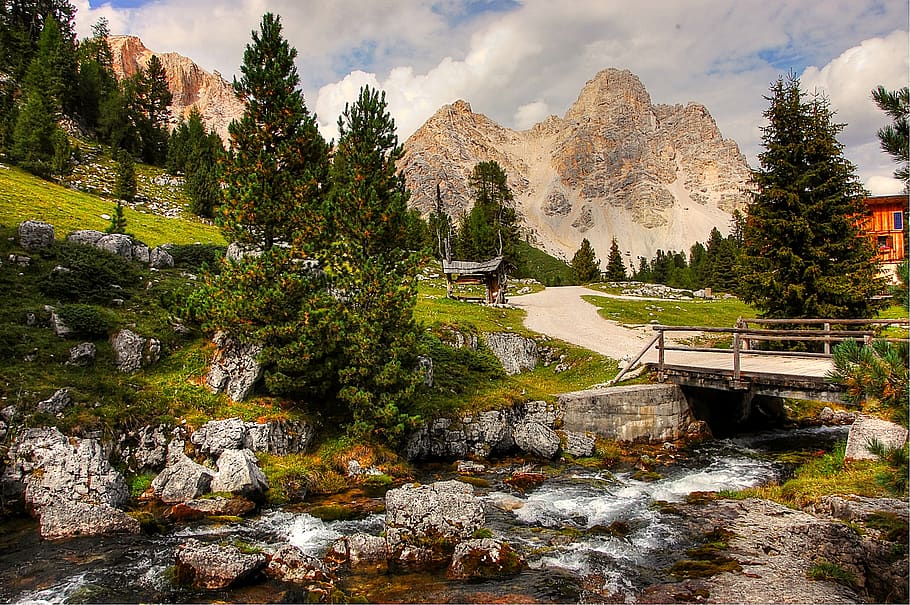 Green Pine Trees, boulders, bridge, clouds, daylight, HD wallpaper HD wallpaper