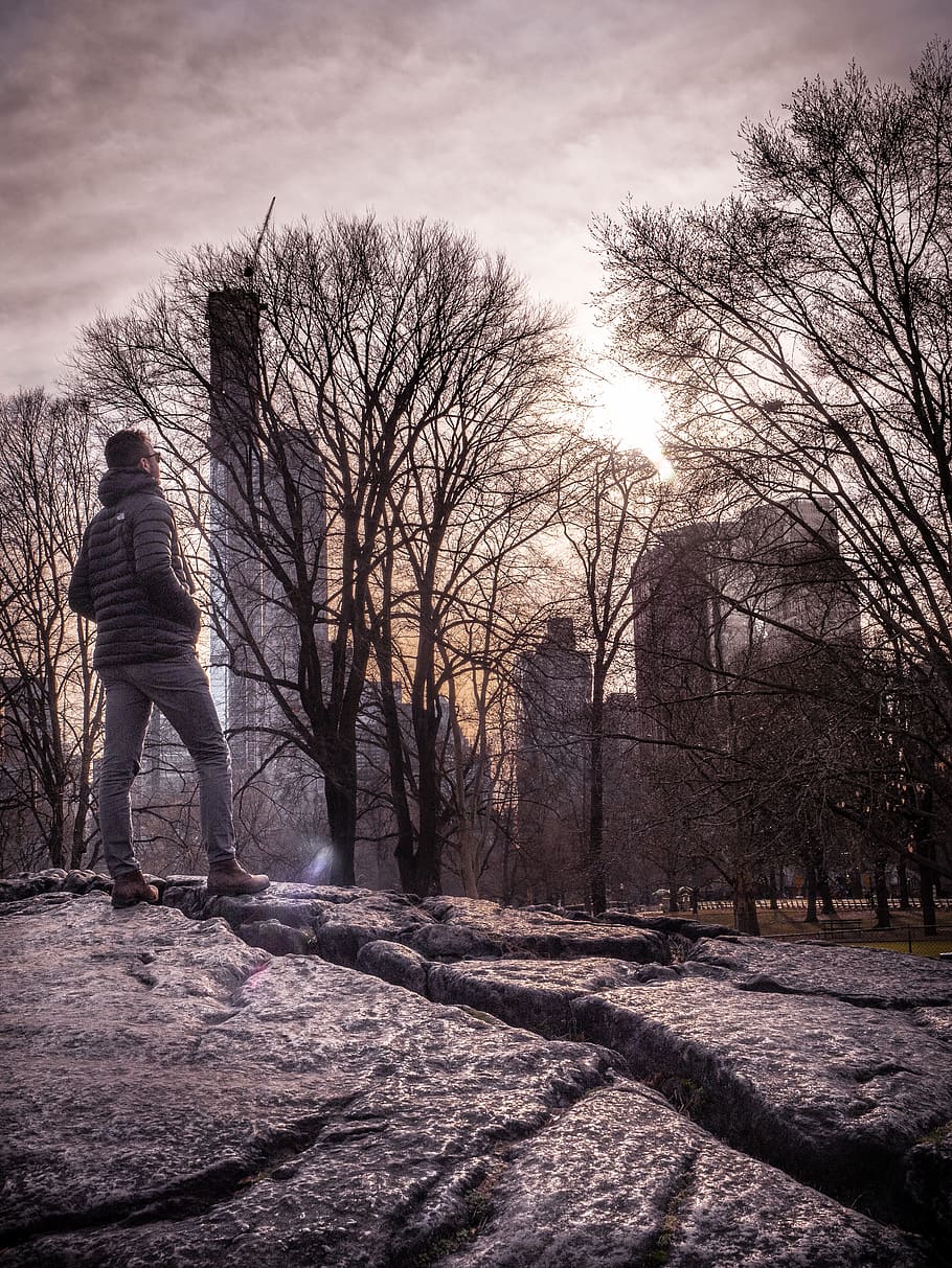 man standing beside tree, human, person, flare, light, nature HD wallpaper