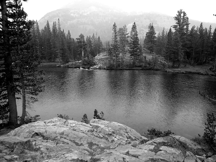 inyo national forest, black and white, alpine, californium, HD wallpaper