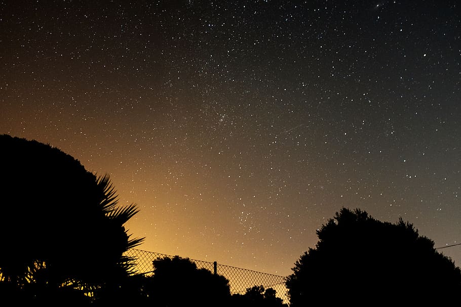silhouette trees under night sky, outdoors, space, universe, starry sky HD wallpaper