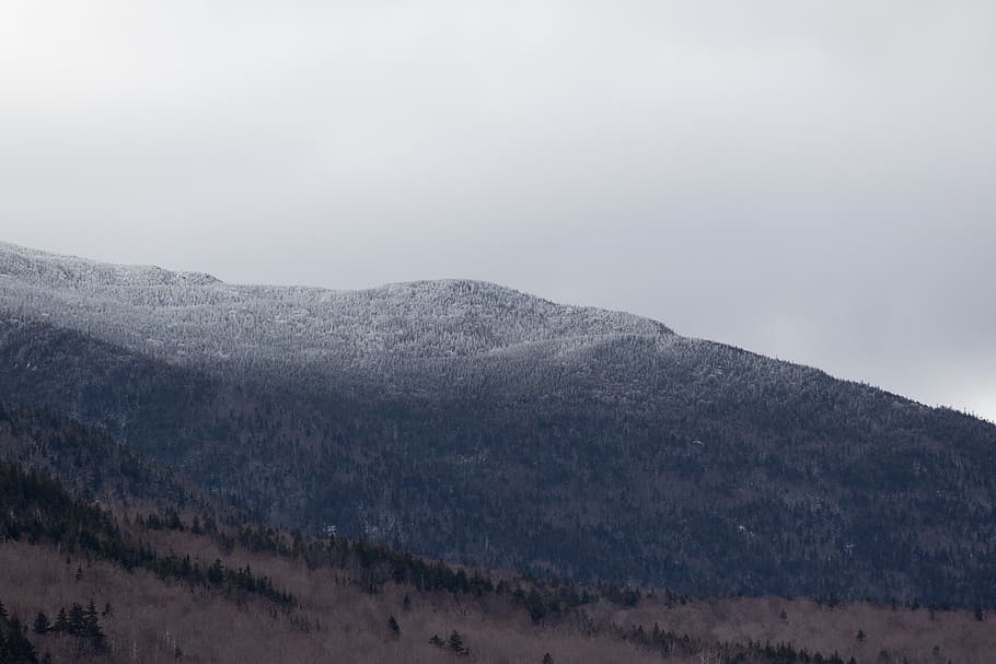 Black and Gray Hill Surrounded With Trees, clouds, cloudy, daylight HD wallpaper