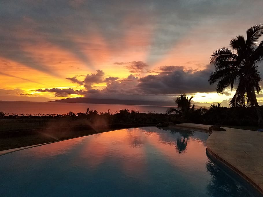 Hd Wallpaper Lahaina Maui Sunset Palm Tree Water Sky Tropical