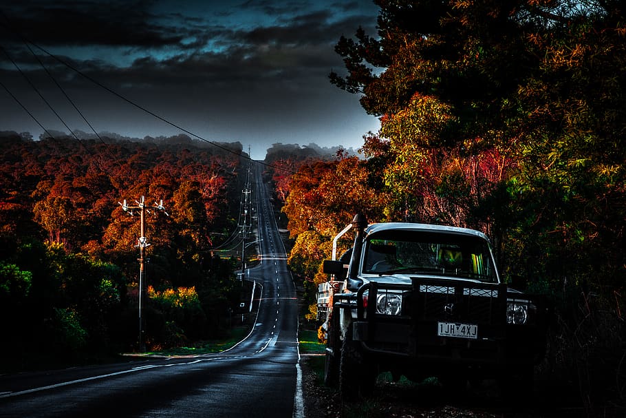 roads, trees, colour, red, green, fog, car, toyota, land cruiser HD wallpaper