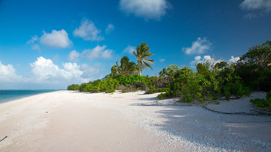 green trees under cloudy sky, water, land, beach, sea, tropical climate HD wallpaper